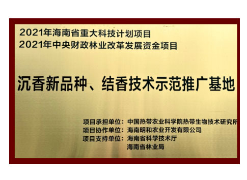 榮譽(yù)資質(zhì)