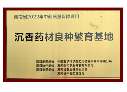 榮譽(yù)資質(zhì)